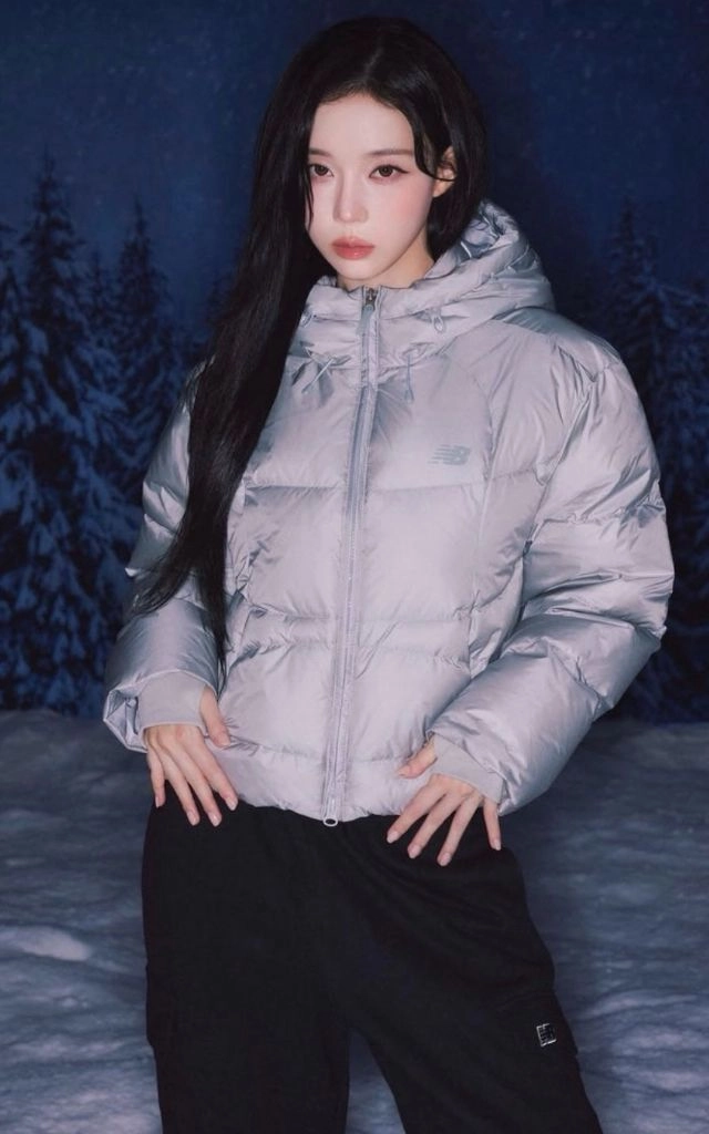 (윈터착용)뉴발란스 플라잉 경량 후드 구스 다운 패딩 S 실버 - 안심되는 중고거래