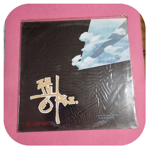 푸른하늘 2집 LP 초판 미개봉 이미지