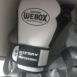 webox 복싱 글러브 이미지