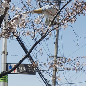구합니다 야놀자 여기어때 24만 전후 70프로 구함 이미지