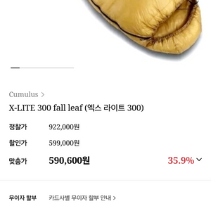큐몰러스 엑스라이트 300 이미지