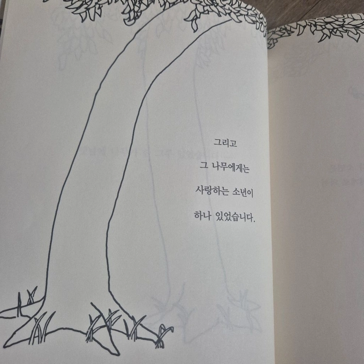 시공주니어 아낌없이 주는 나무 판매합니다 이미지