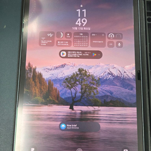 갤럭시탭 S10+(플러스) 와이파이 256GB 이미지