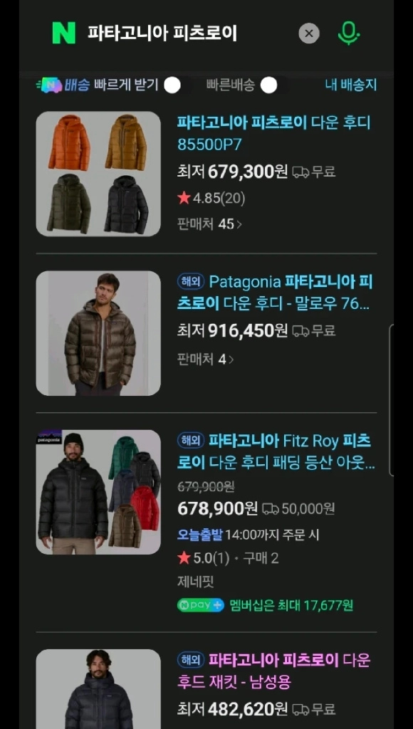 파티고니아 피츠로이W L사이즈 이미지