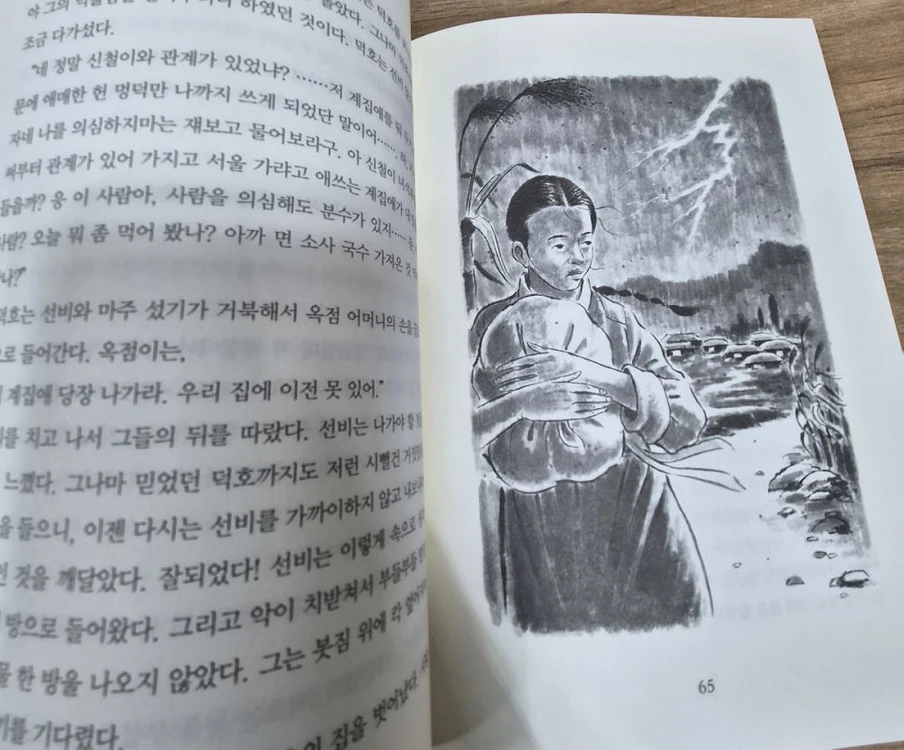 서울대선정 한국문학전집 전집 이미지