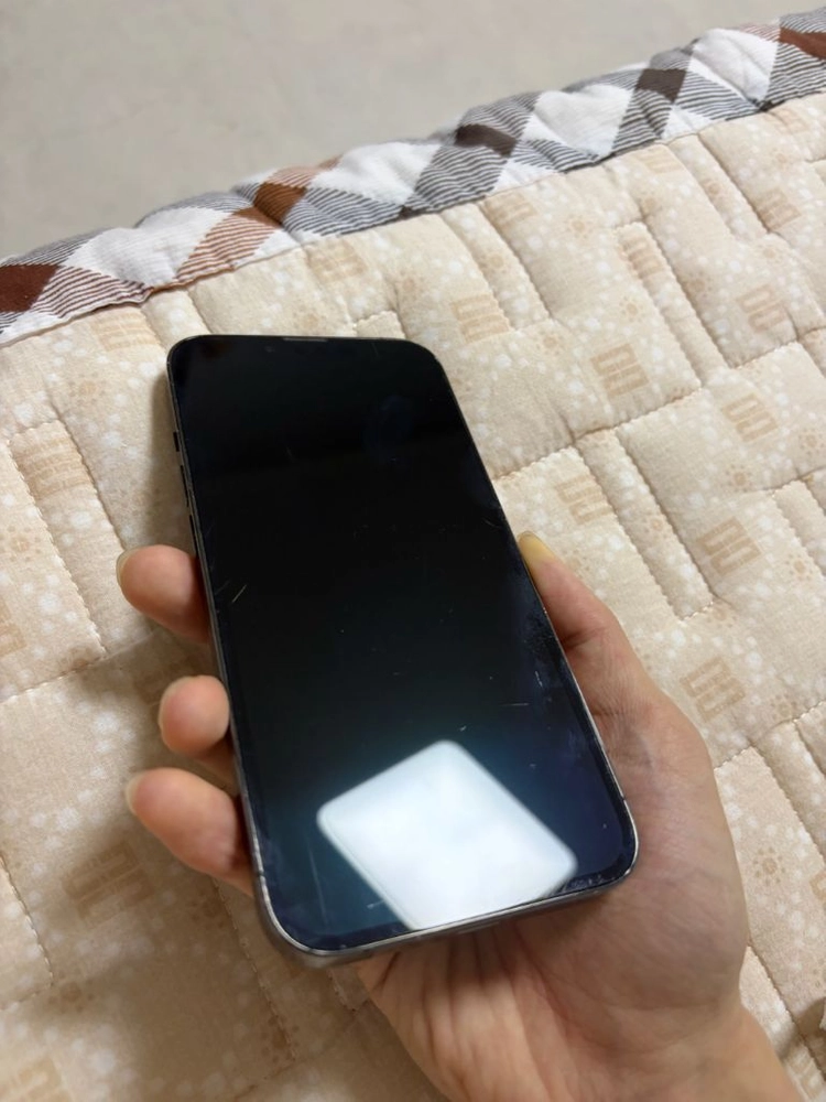 아이폰 13프로 128GB 그래파이트 이미지
