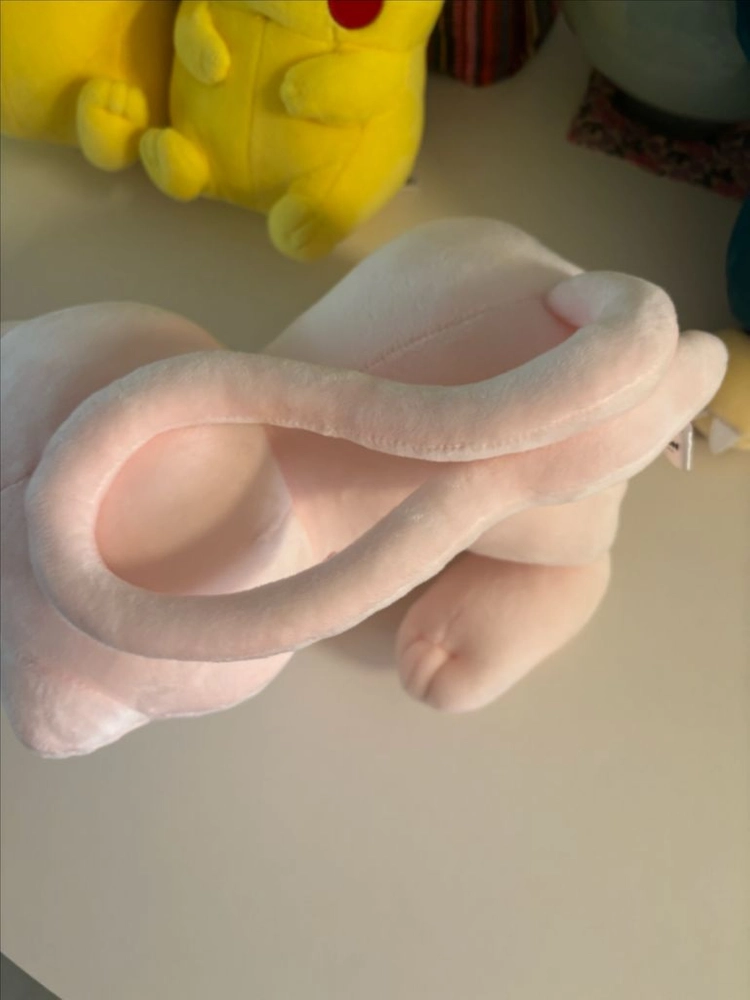 포켓몬인형 일괄 다른인형도 같이드러요 이미지