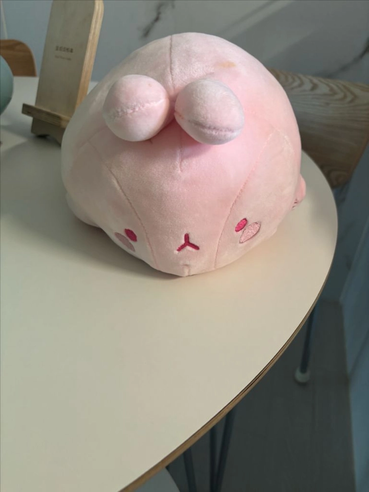 포켓몬인형 일괄 다른인형도 같이드러요 이미지