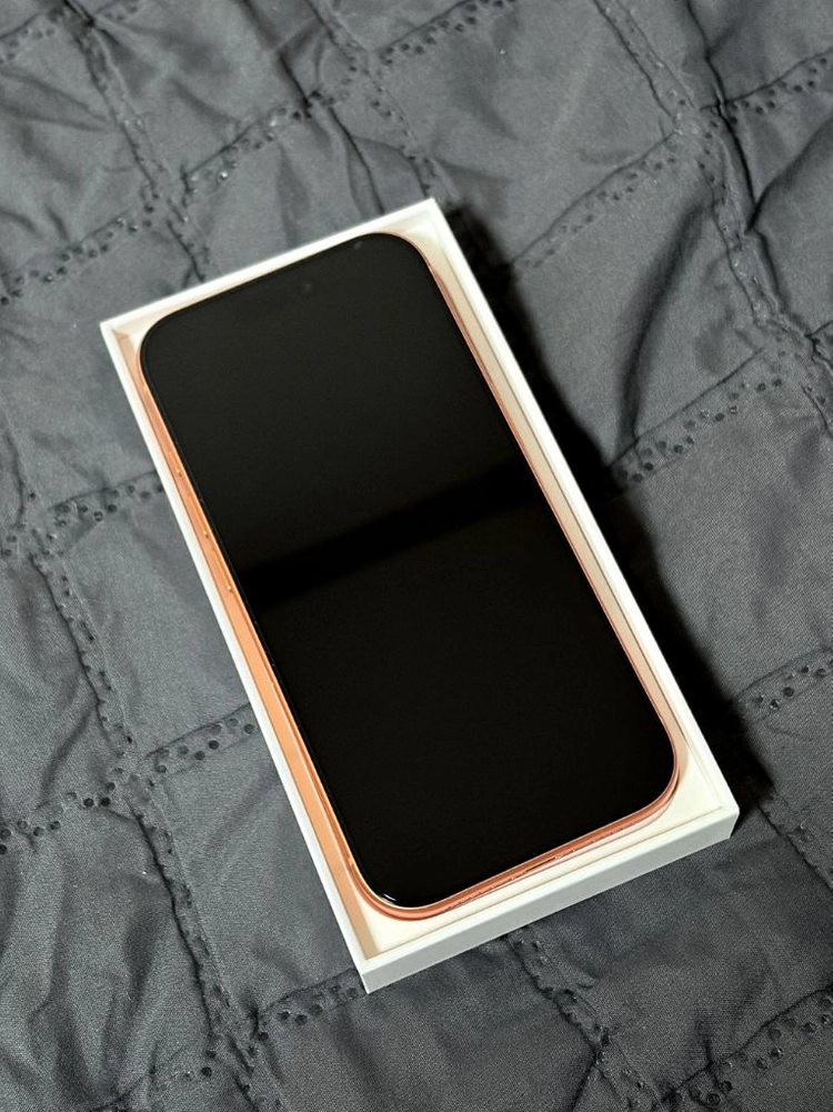 아이폰 17 프로 오렌지 256GB 이미지