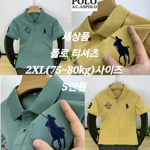 폴로 남자 반팔 티셔츠 그린or엘로우 개당 5만원(새상품) 이미지
