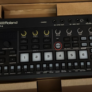 roland p-6 이미지