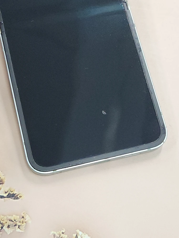갤럭시Z플립6 256G 무잔상 그린 63921 이미지