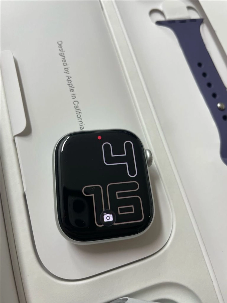 애플워치11 42mm 실버 SSS급 이미지