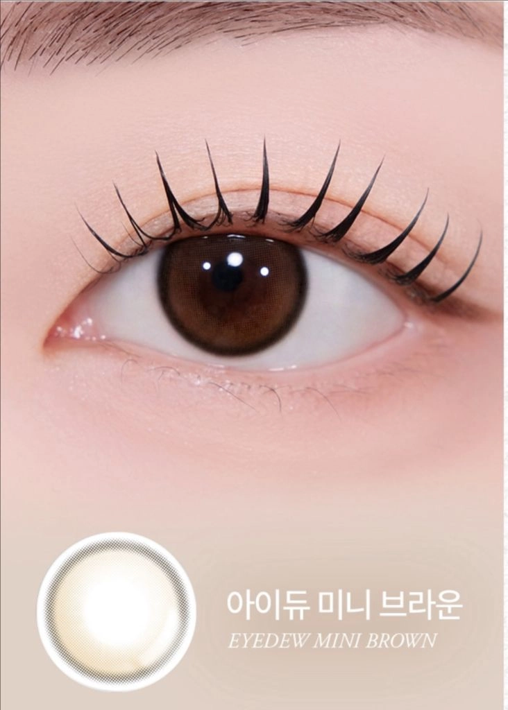 렌즈 아이듀 미니 브라운/그레이 미니블 틴트 초코 한달용 원데이 무도수 이미지