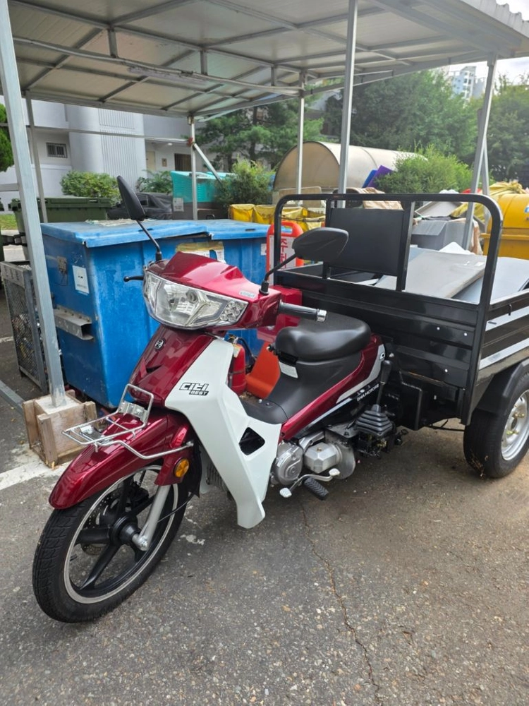 대림 시티 베스트 110cc 삼륜 스쿠터 이미지
