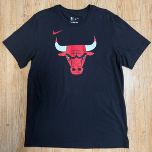 [L] 나이키 시카고불스 에센셜 로고 NBA 반팔 티셔츠 이미지