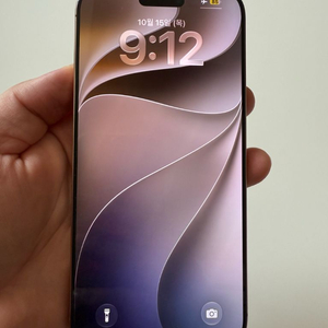 아이폰 16 프로 맥스 256GB 이미지