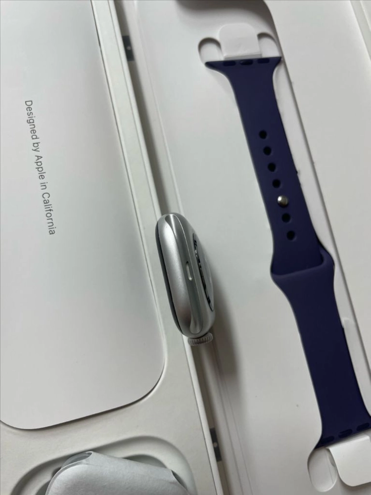 애플워치11 42mm 실버 SSS급 이미지