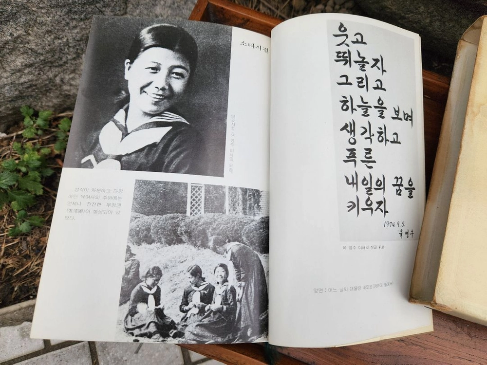 도서 육영수 여사 - 박목월 저 이미지
