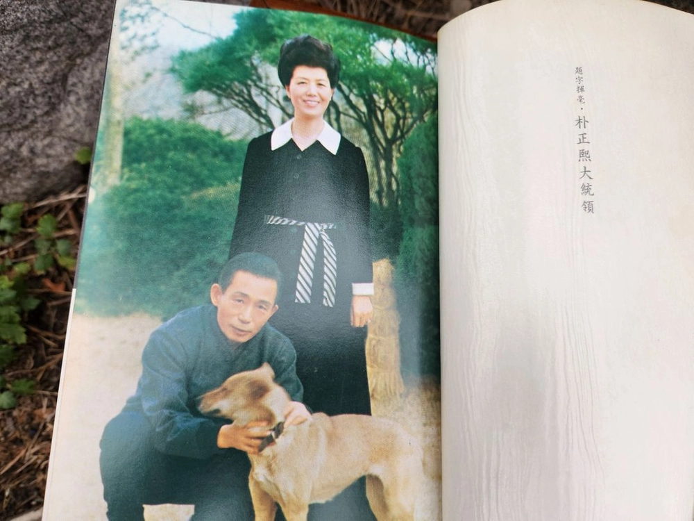 도서 육영수 여사 - 박목월 저 이미지