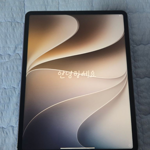 아이패드 프로 5세대 12.9 셀룰러 1tb 이미지