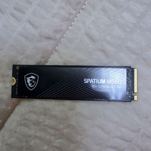 MSI SPATIUM M560 M.2 NVMe 1TB SSD 팝니다 이미지