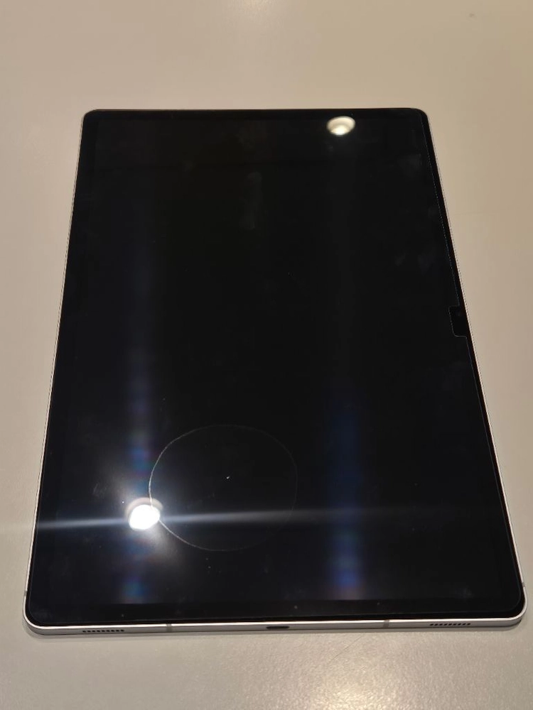 삼성 갤럭시 탭 S10 플러스 실버 256GB 와이파이 이미지