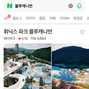 휘닉스 블루 캐니언 입장권 이미지