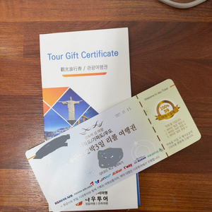 제주도 2박3일 리콜 여행권 (항공권+렌트카+호텔) 이미지