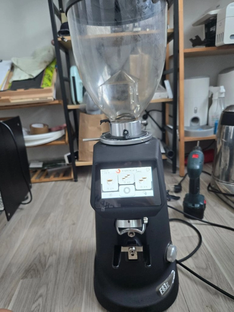 피오렌자또 f83e 23년식 그라인 이미지