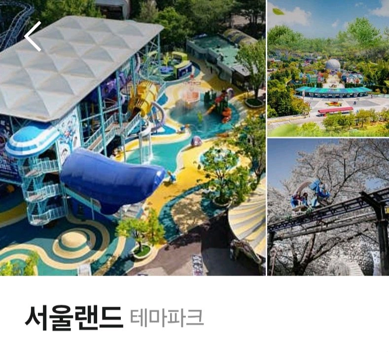 서울랜드 종일 주말가능권 - 안심되는 중고거래
