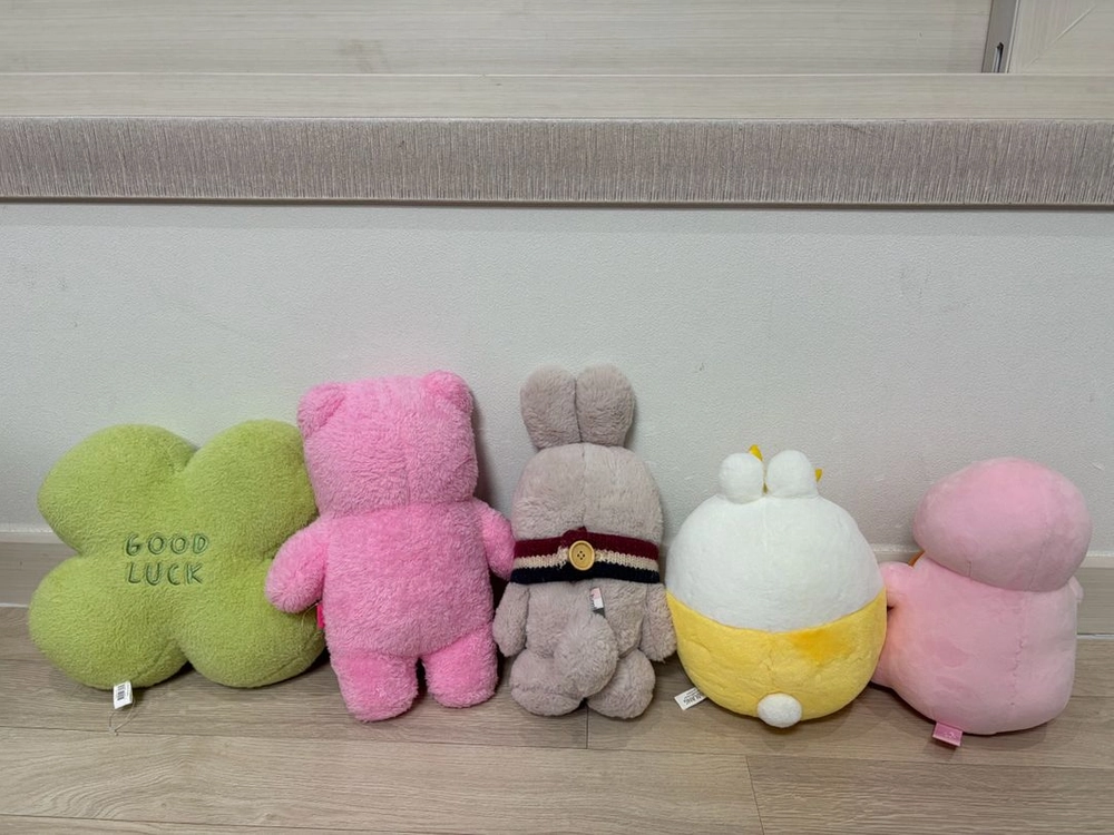 인형 일괄 네잎크로버 몰랑이 벨리곰 지방이 토끼 등 이미지