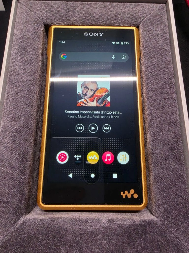소니 WM1ZM2 금덩이2 이미지