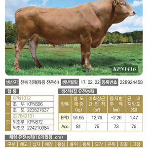 kpn1064,1716,1755,1640,1642등등 판매 이미지