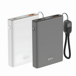 [미개봉새상품] 스카이 필 솔리드 보조배터리10000mAh 실버 이미지