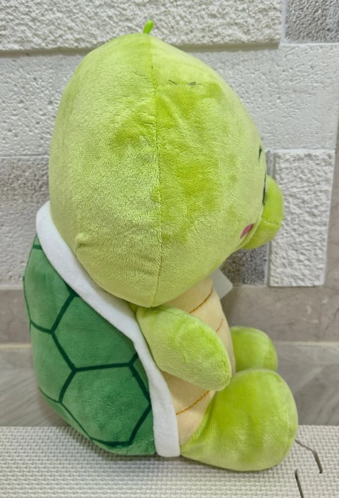 놀이공원(레고랜드,에버랜드,이월드 등)뽑기 거북이 인형 이미지