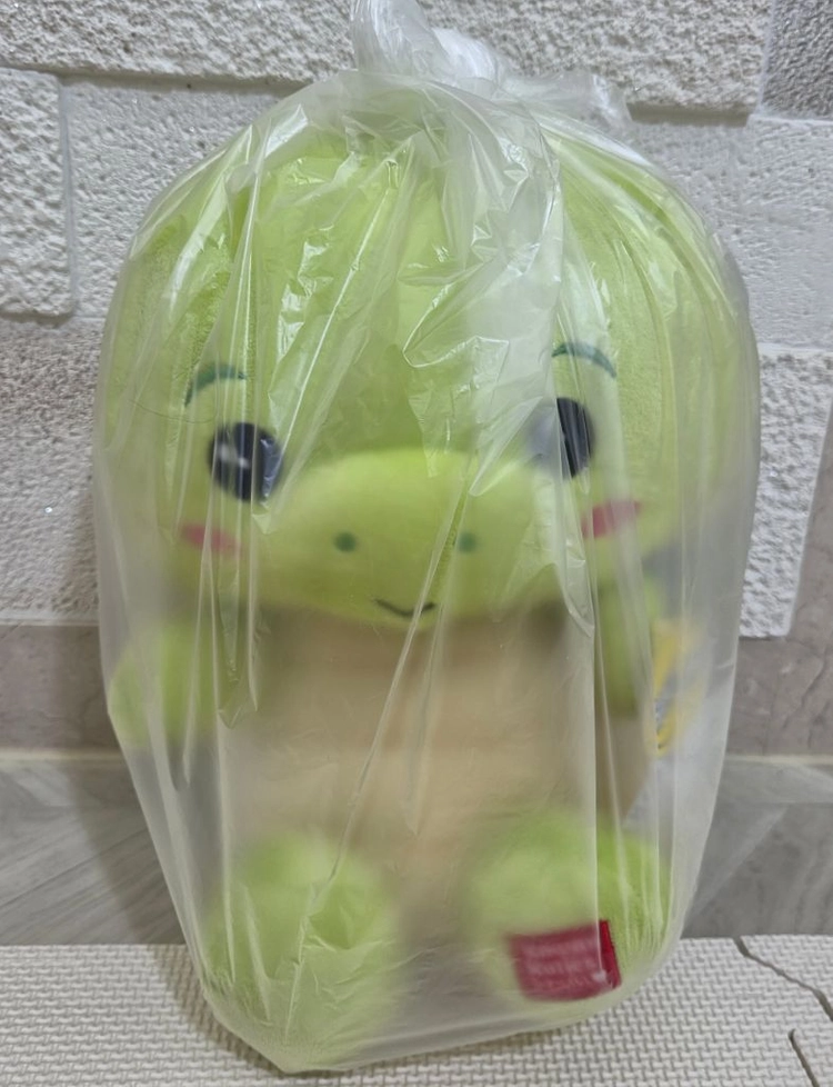 놀이공원(레고랜드,에버랜드,이월드 등)뽑기 거북이 인형 이미지