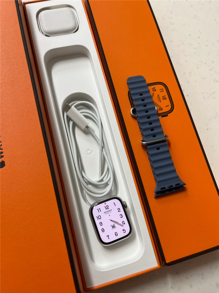 애플워치8에르메스 41mm 실버 애플케어+ - 안심되는 중고거래