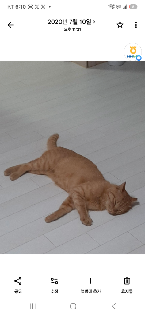 프로필 이미지