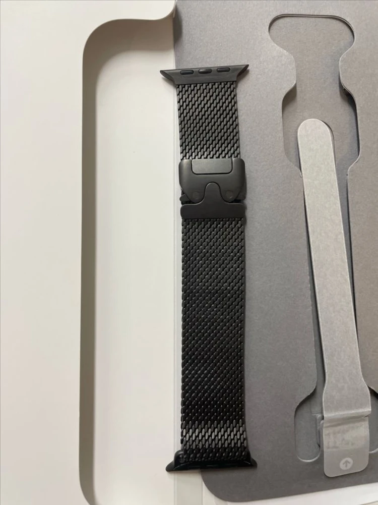 애플워치 티타늄 밀레니즈루프 블랙 49mm L SSS급 이미지
