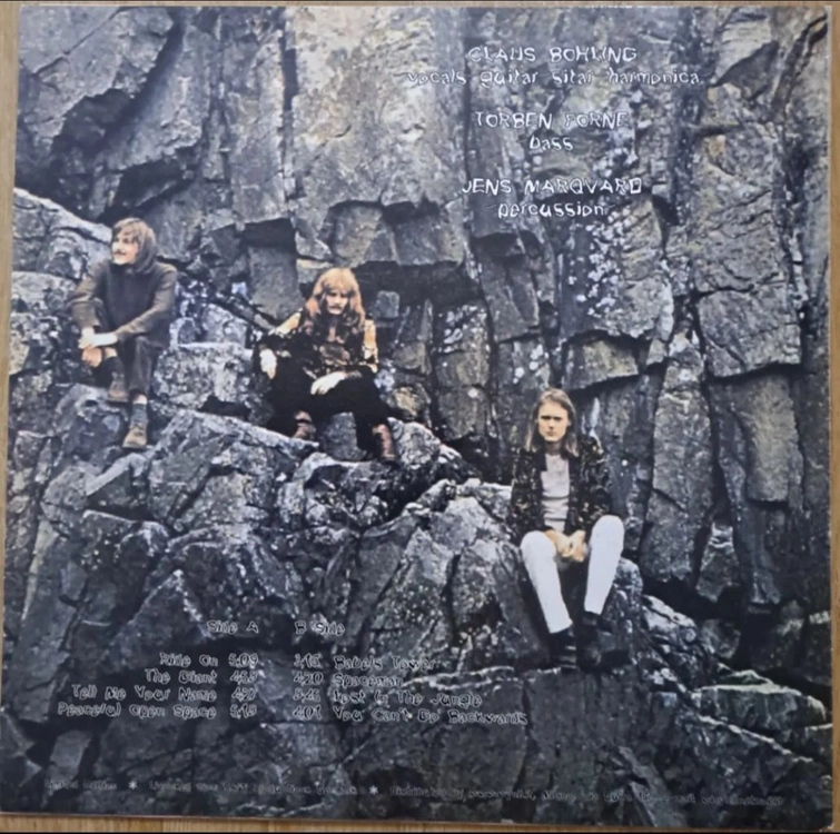 Hurdy Gurdy - Hurdy Gurdy LP 이미지