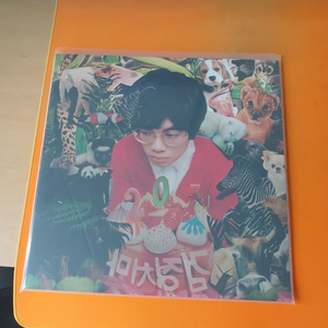 검정치마 201 LP 이미지