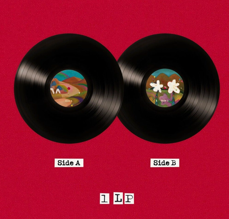 악뮤 (AKMU) 정규 4집 개화 LP (미개봉) 악동뮤지션 이미지