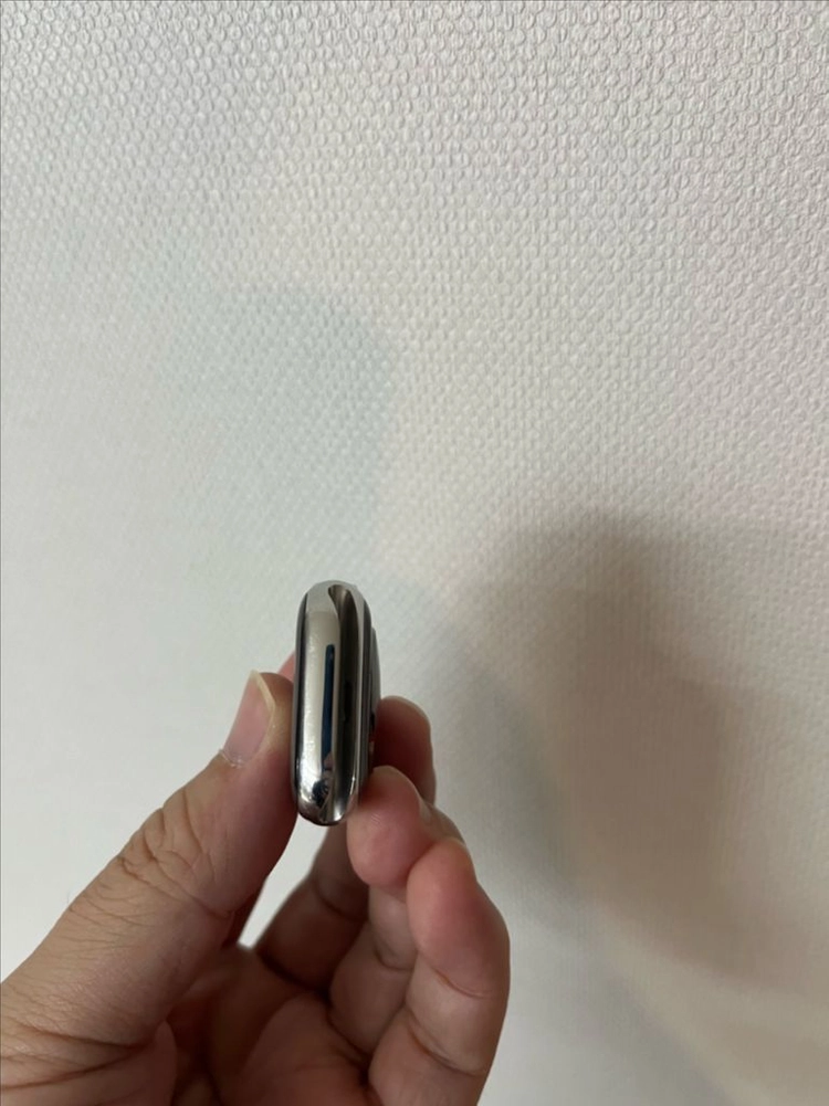 애플워치8에르메스 41mm 실버 애플케어+ 이미지