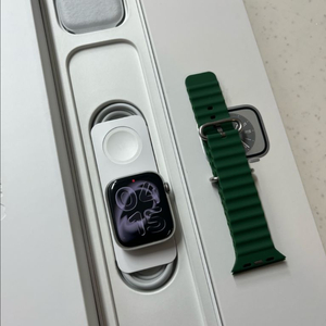 애플워치8스테인리스 45mm 실버 SS급 이미지