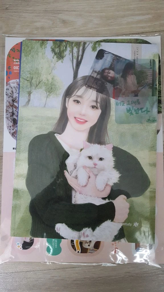 메가스터디 수능 내신 인강 이다지 굿즈 에코백,텀블러,포토카드 포카,기적노트,그립톡,플래너,피규어,스티커,L홀더 이미지