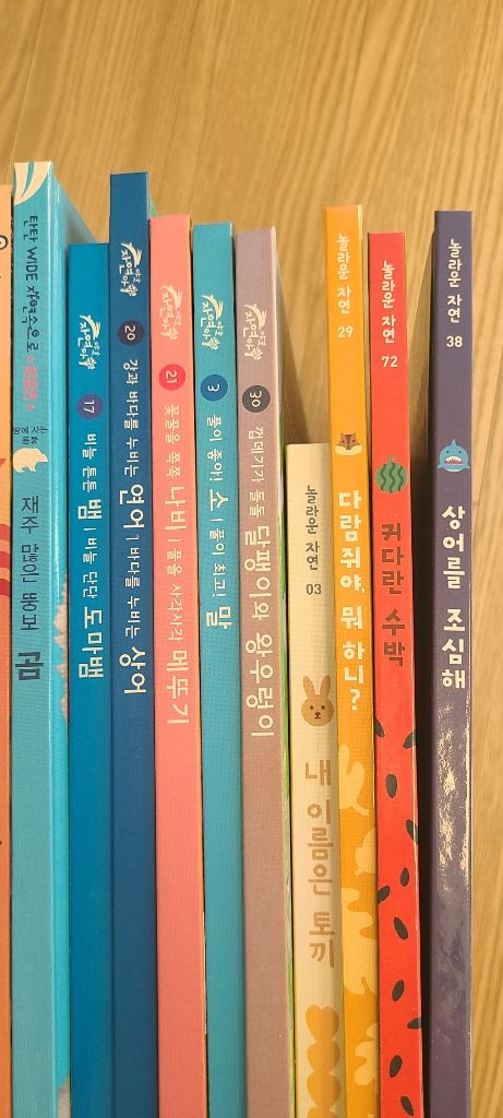 샘플책 14권 이미지