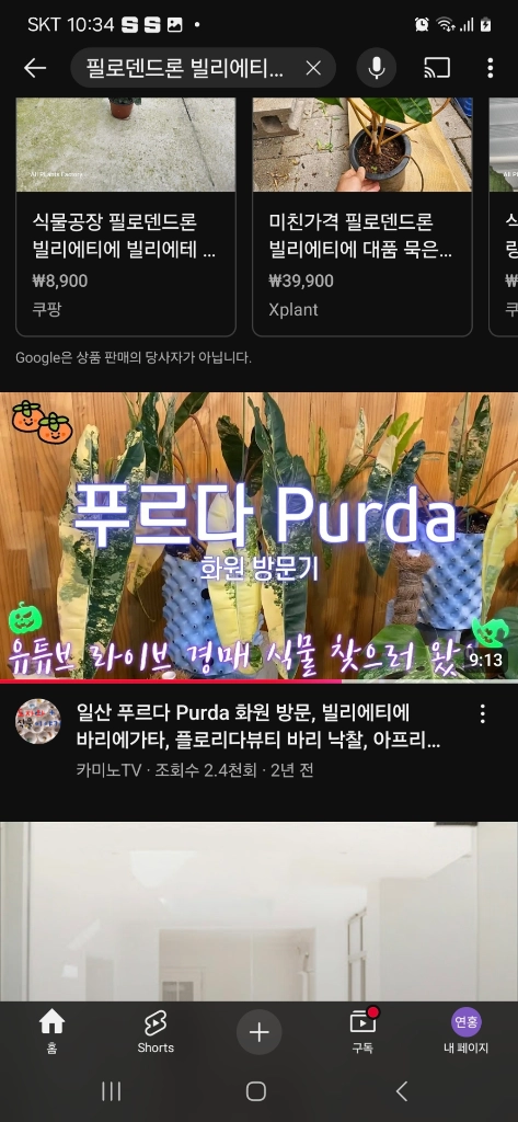 필로덴드론 빌리에티에 바리에가타 대옆탑 3장 이미지