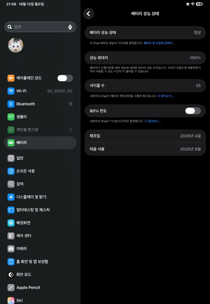 아이패드프로 11인치 M5 256GB 셀룰러 + 애플펜슬프로 이미지