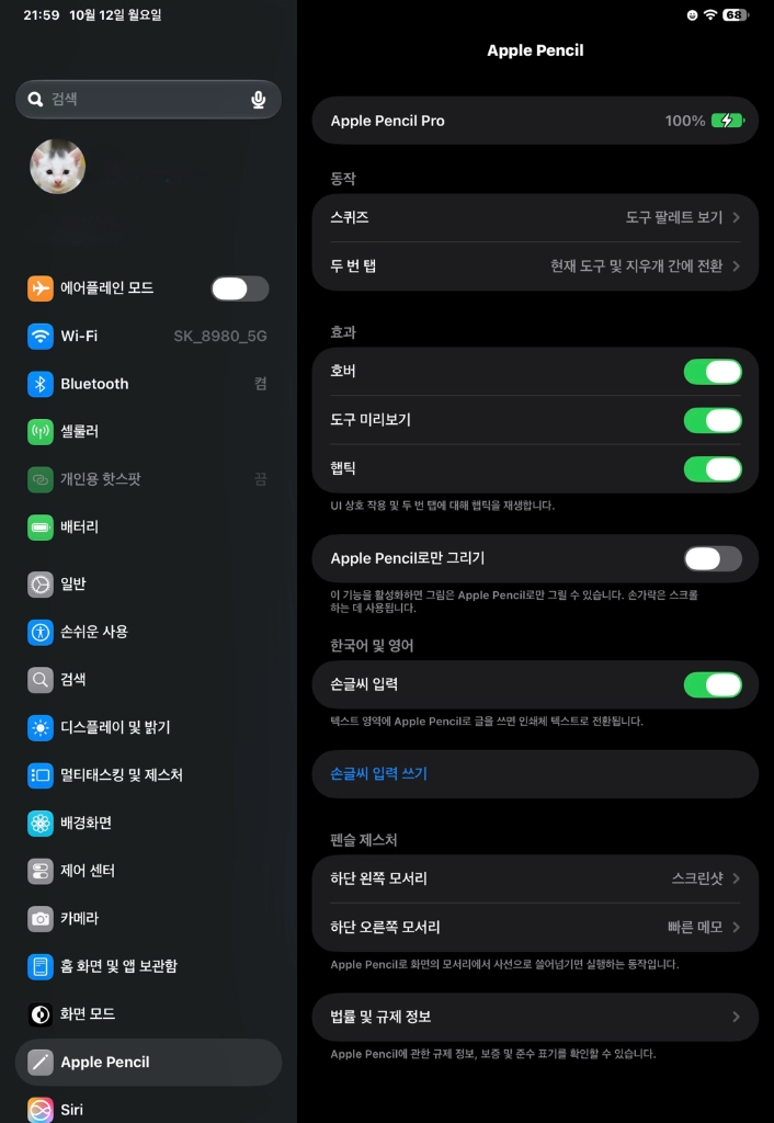 아이패드프로 11인치 M5 256GB 셀룰러 + 애플펜슬프로 이미지